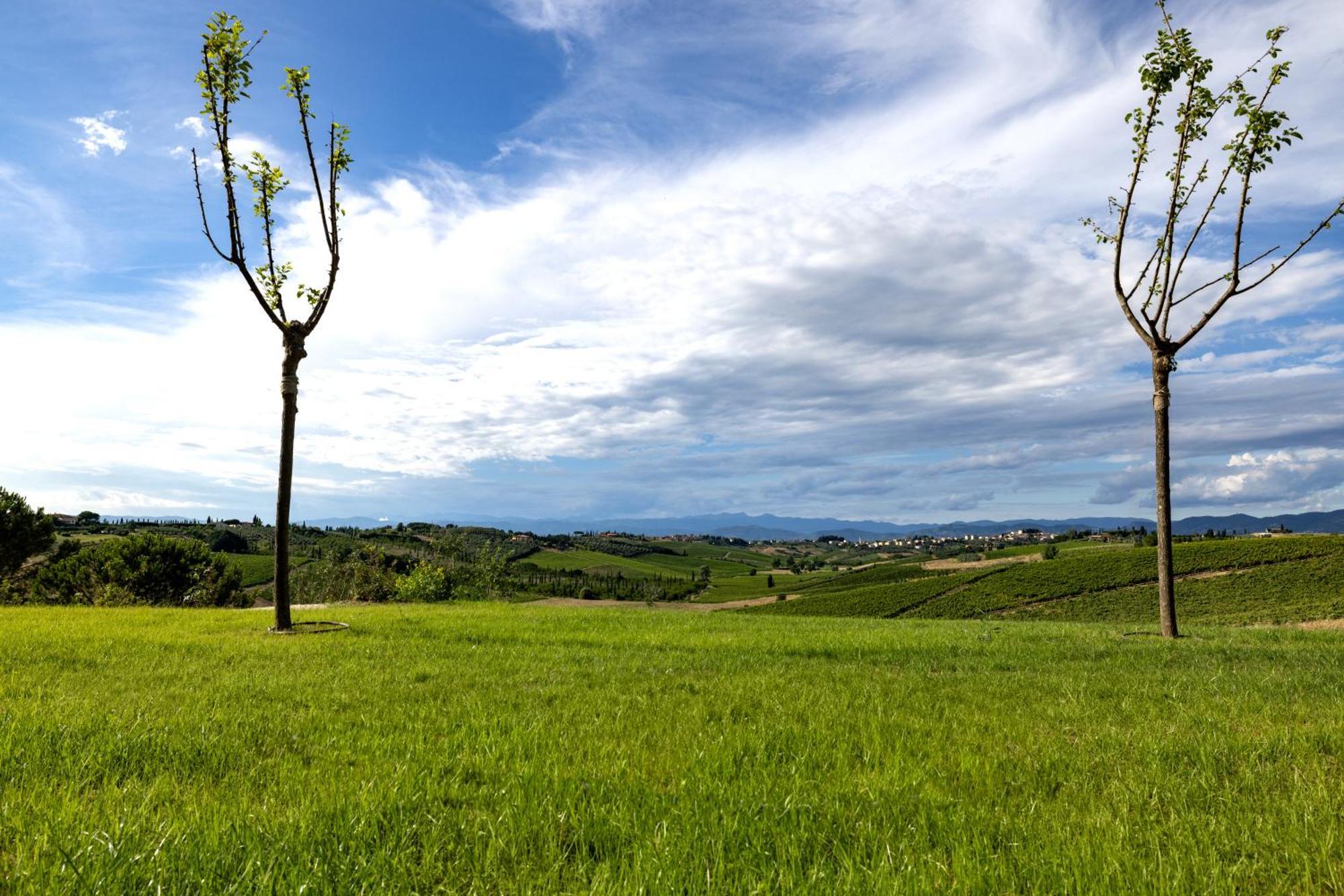 Colle Alberti Country House Cerreto Guidi Zewnętrze zdjęcie