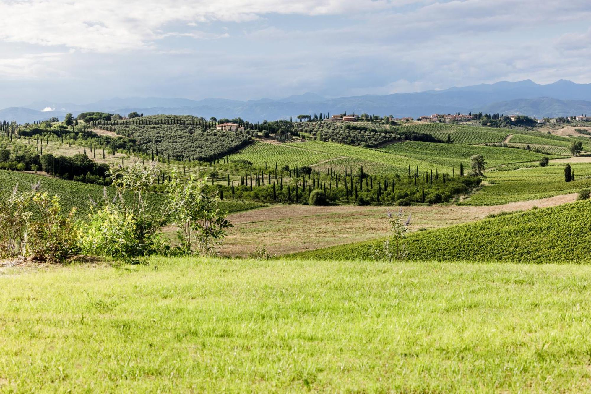 Colle Alberti Country House Cerreto Guidi Zewnętrze zdjęcie